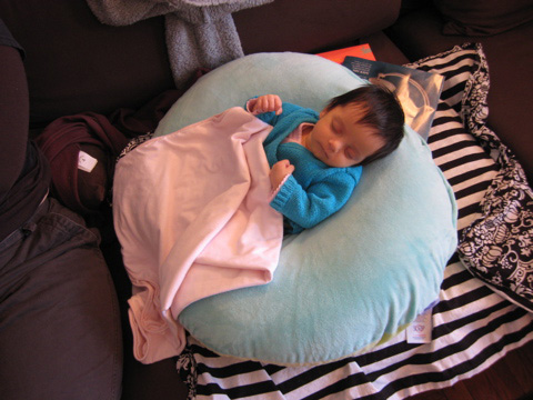 Blackbird sleeps in her Boppy, covered with a blanket.