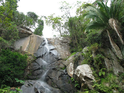 A waterfall in Yelapa.
