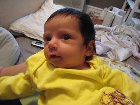 Blackbird in her sleep sack, close up.