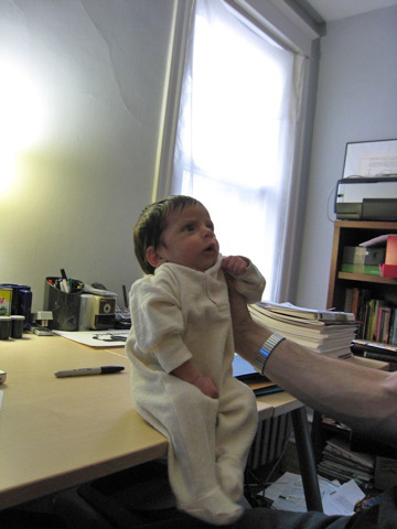 Blackbird sits up on the edge of my desk, with my right arm supporting her.