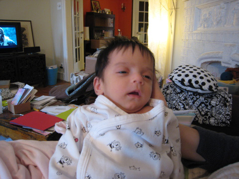 Blackbird looking very sleepy, with her eyes half-open.