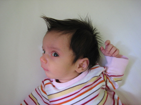 Blackbird in her crib, with spiked hair.