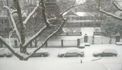 A snowy street, with about six inches of snow, covering cars, the ground, trees, and the large home seen behind a fence.