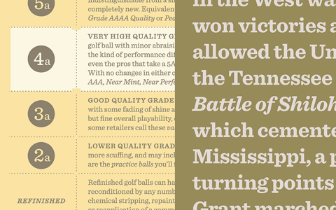 A sample of Sentinel in use from H&F-J's website.